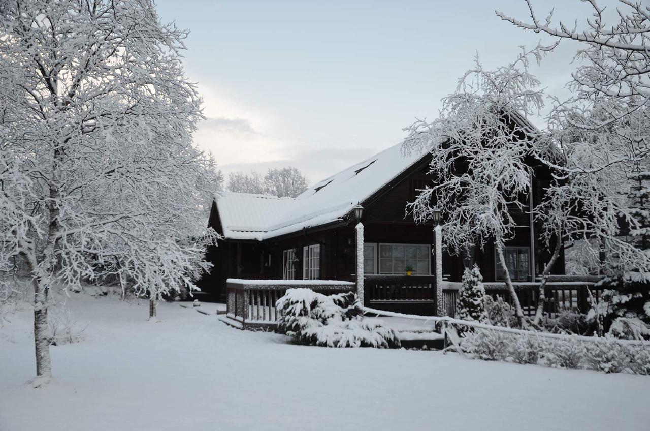 Blue Grove Guesthouse South Iceland Esterno foto