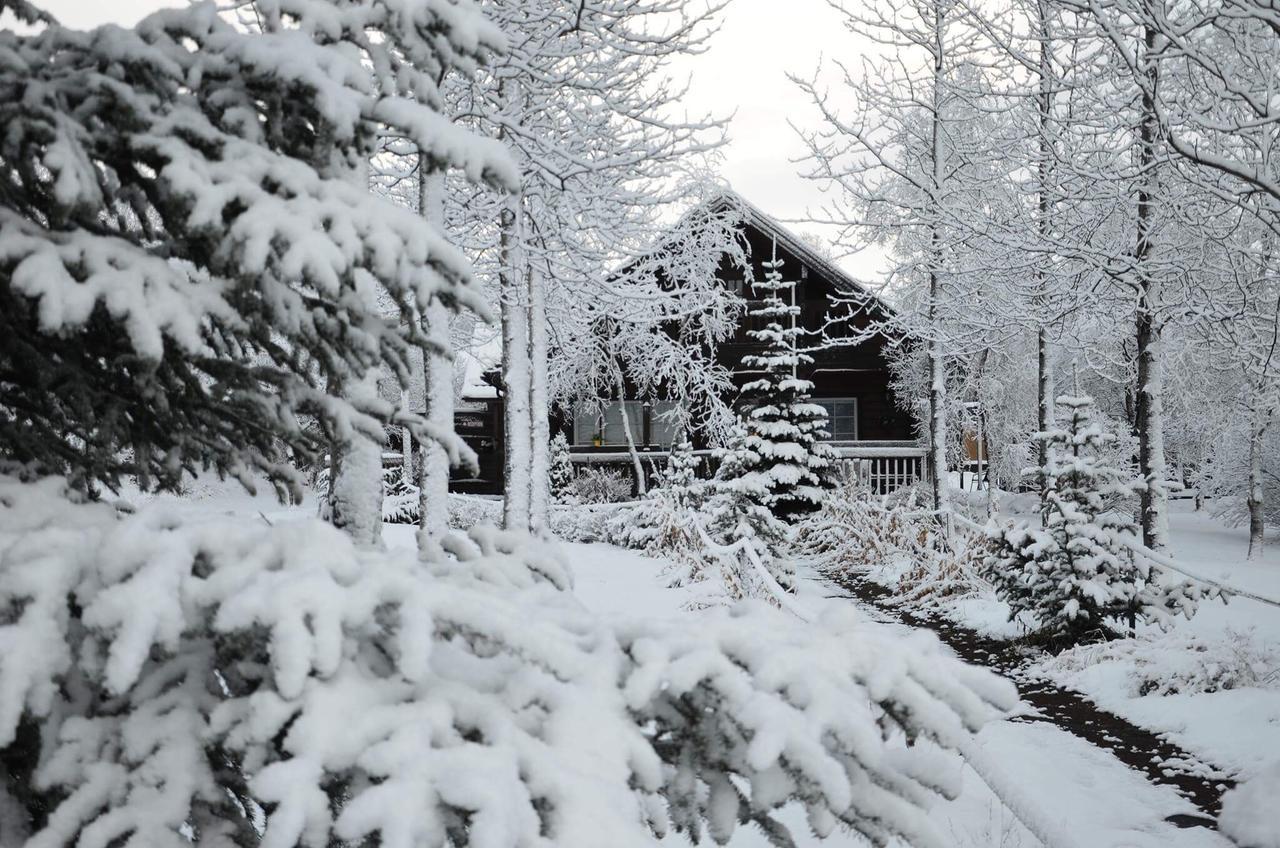 Blue Grove Guesthouse South Iceland Esterno foto